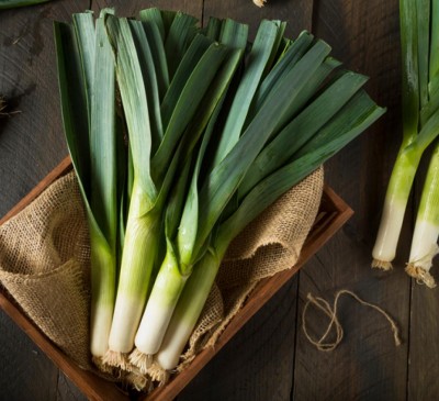 Leek Autumn Giant 